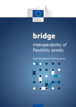 14_Interoperability of flexibility assets_1