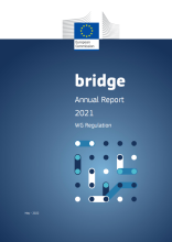 Regulation Working Group: Annual report 2021