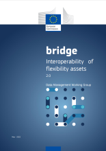 Interoperability of flexibility assets