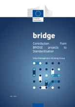 Contribution from BRIDGE projects